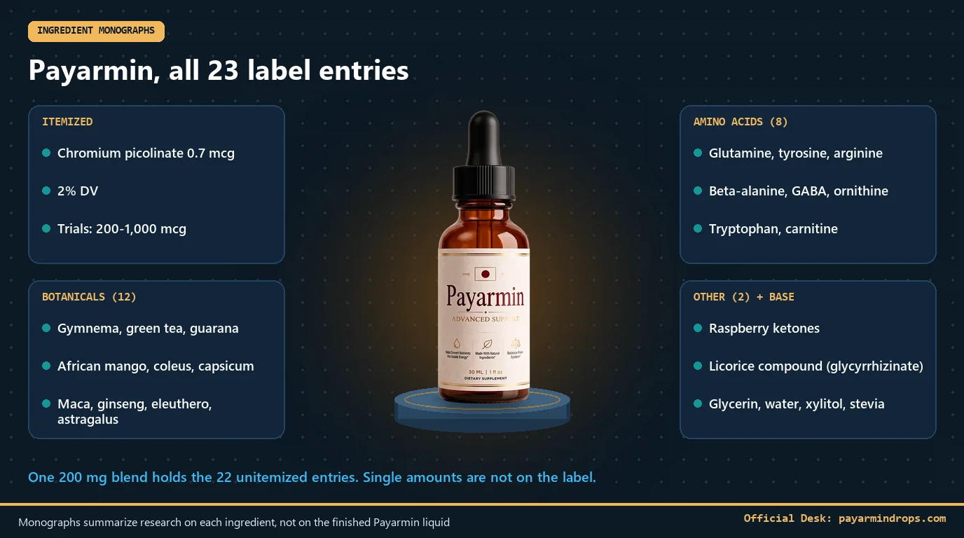 Payarmin bottle on a dark lab background with cards grouping its 23 label entries into chromium, botanicals, amino acids and other compounds